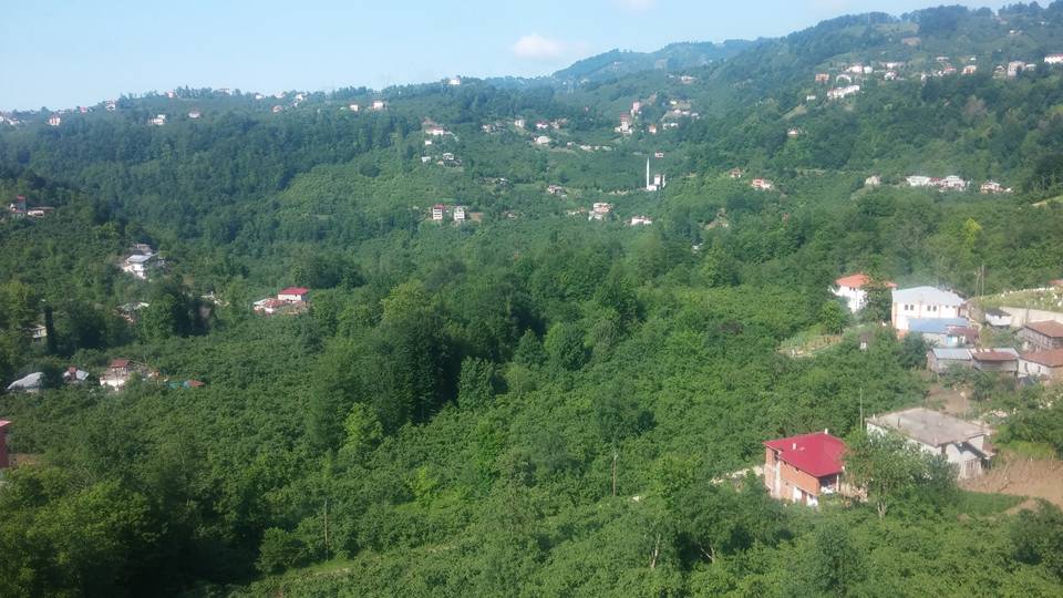 Vakfıkebir Sekmenli Köyü Resimleri 18