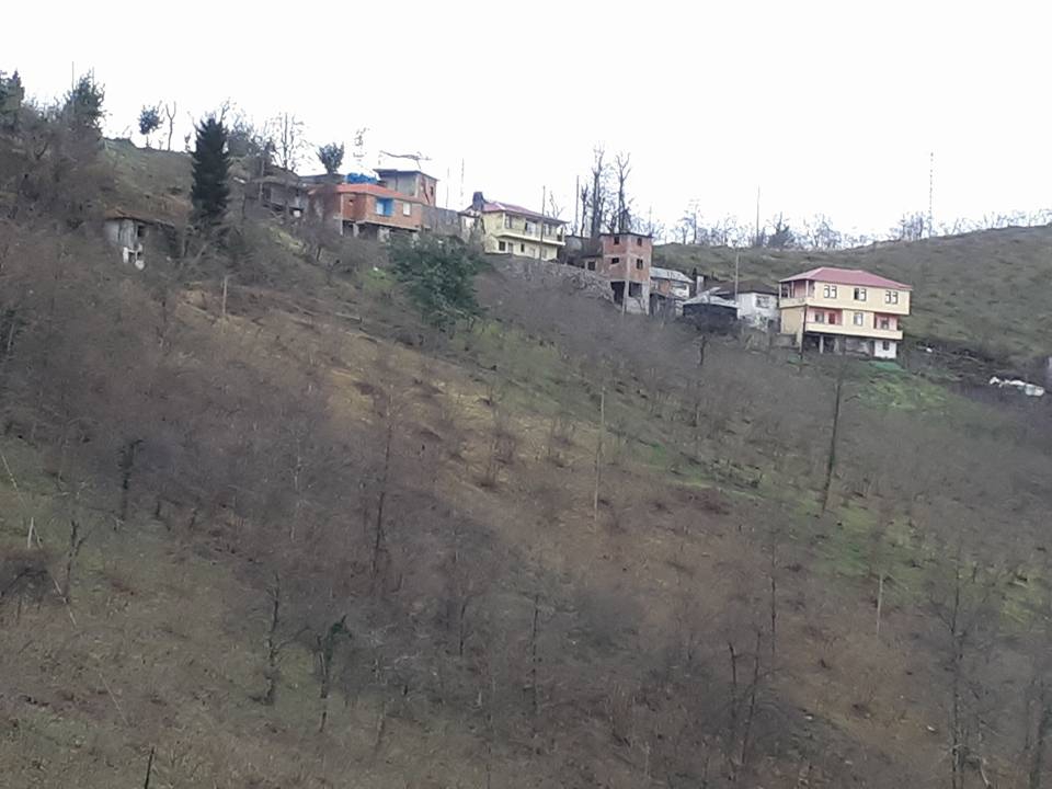 Vakfıkebir Sekmenli Köyü Resimleri 20