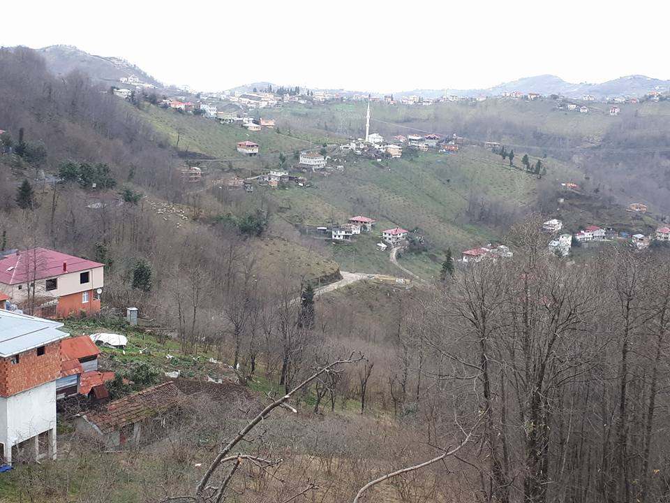 Vakfıkebir Sekmenli Köyü Resimleri 21