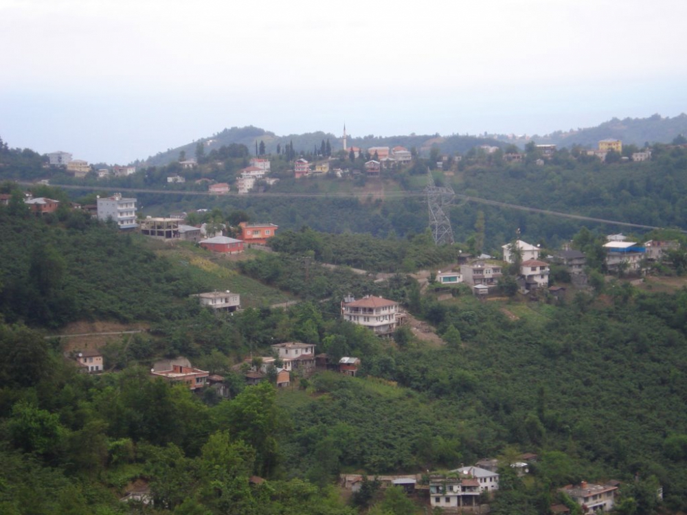 Vakfıkebir Sekmenli Köyü Resimleri 24