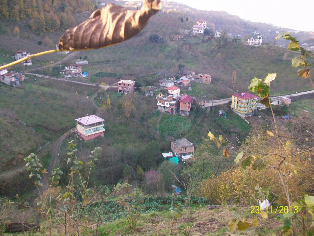 Vakfıkebir Sekmenli Köyü Resimleri 27