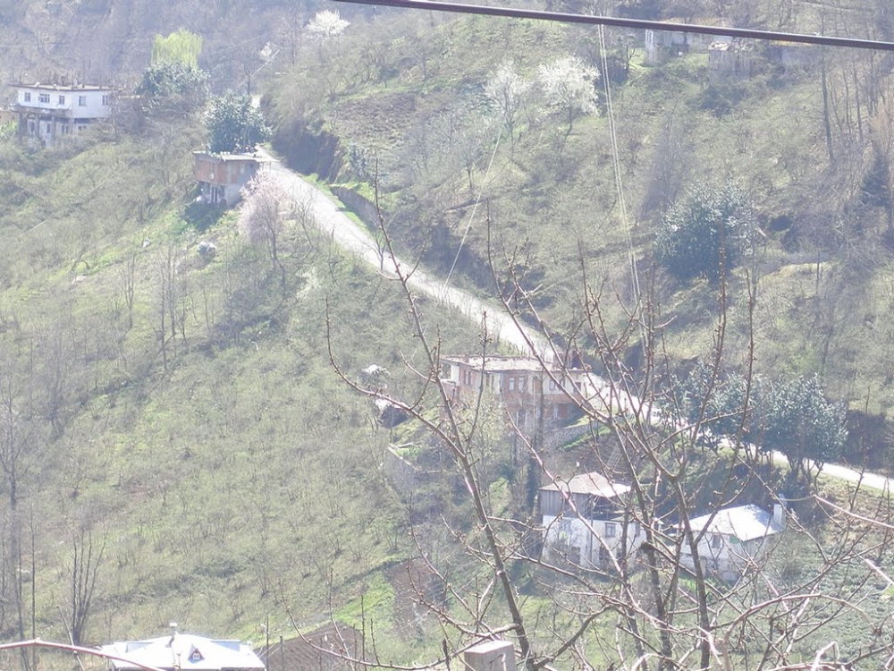 Vakfıkebir Sekmenli Köyü Resimleri 28