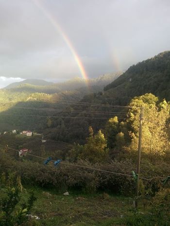 Vakfıkebir Sekmenli Köyü Resimleri 3