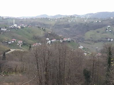 Vakfıkebir Sekmenli Köyü Resimleri 5