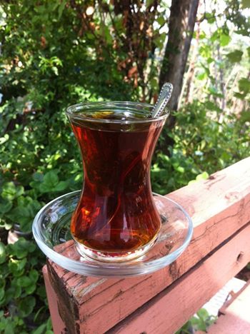 Vakfıkebir Sekmenli Köyü Resimleri 8