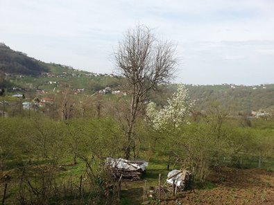 Vakfıkebir Sekmenli Köyü Resimleri 9