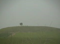 Bismil Erler Köyü Resimleri 2