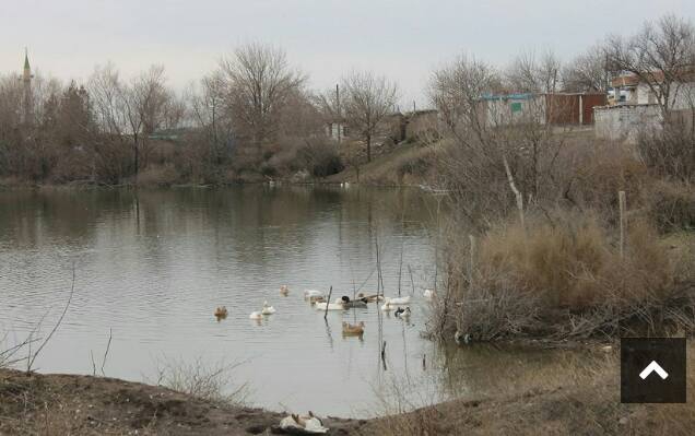 Bismil Gültepe Köyü Resimleri 1