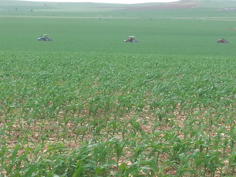 Bismil Harmanlı Köyü Resimleri 2