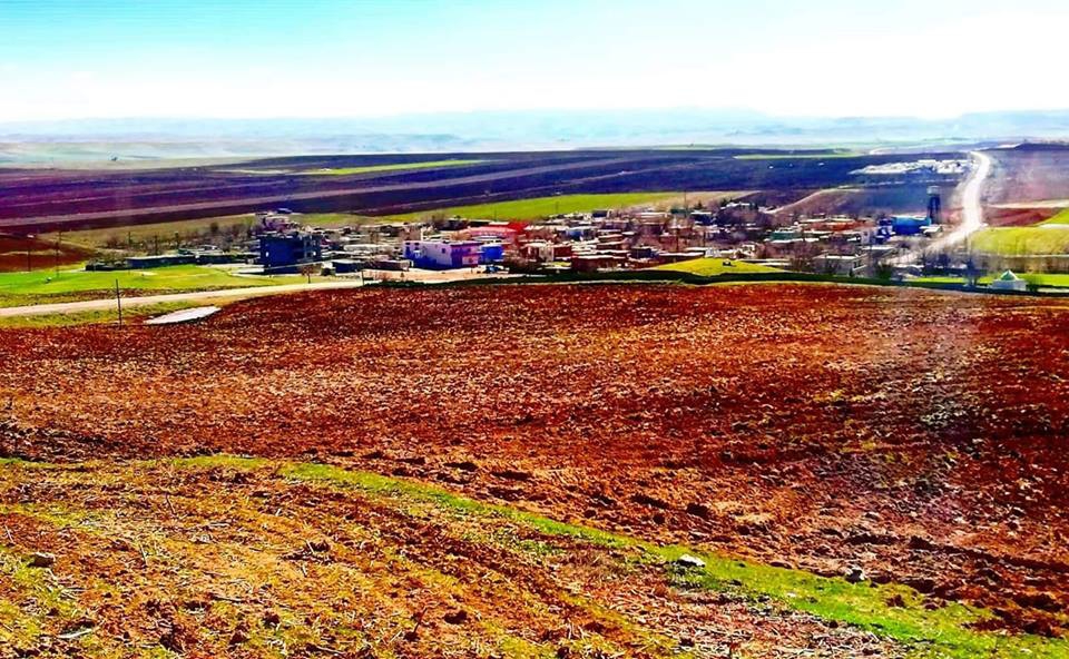 Bismil Harmanlı Köyü Resimleri 9