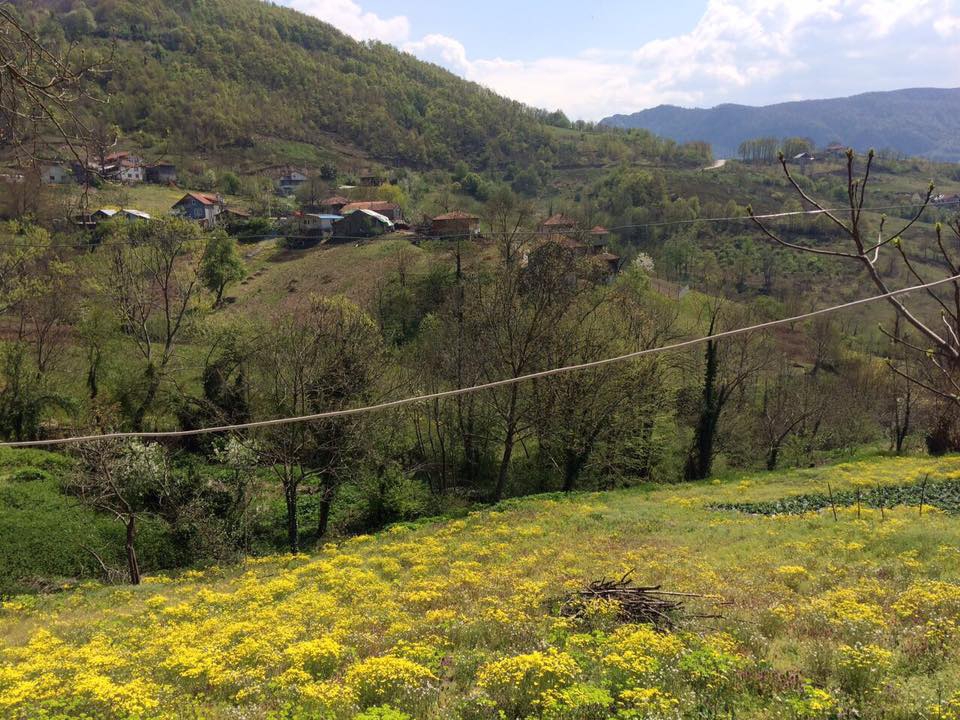 Başiskele Camidüzü Köyü Resimleri 7