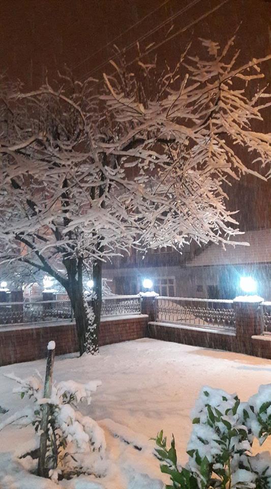 Başiskele Doğantepe Köyü Resimleri 10