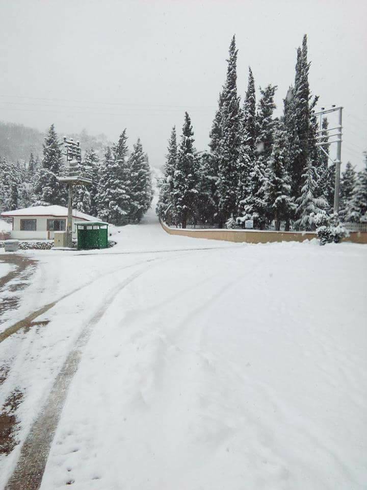 Başiskele Doğantepe Köyü Resimleri 7