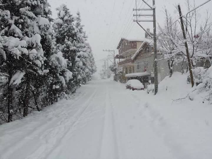 Başiskele Doğantepe Köyü Resimleri 8