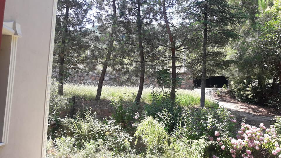 Başiskele Döngel Köyü Resimleri 12