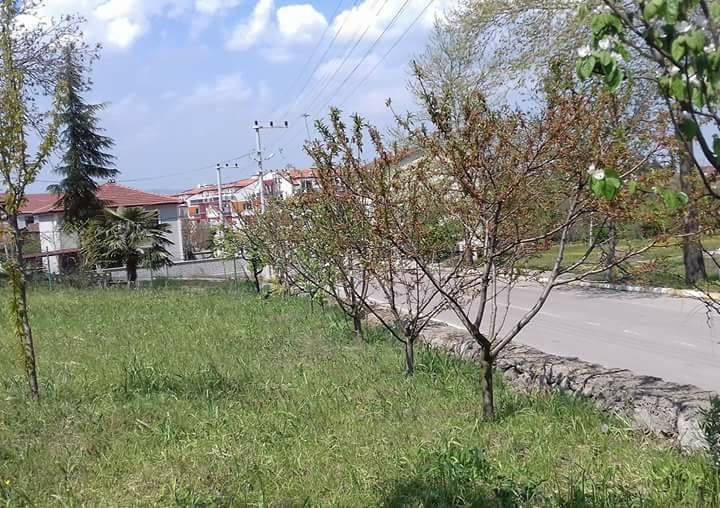 Başiskele Döngel Köyü Resimleri 5