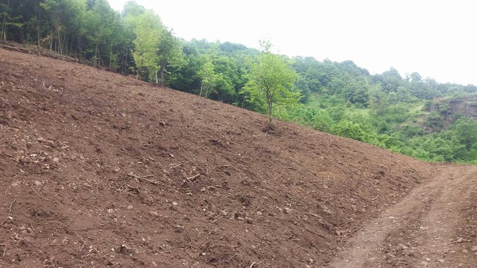 Başiskele Kazandere Köyü Resimleri 9