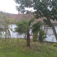 Başiskele Kılıçarslan Köyü Resimleri 7