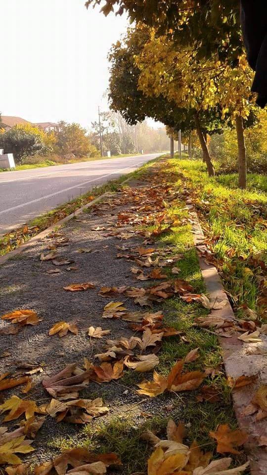 Başiskele Ovacık Köyü Resimleri 1