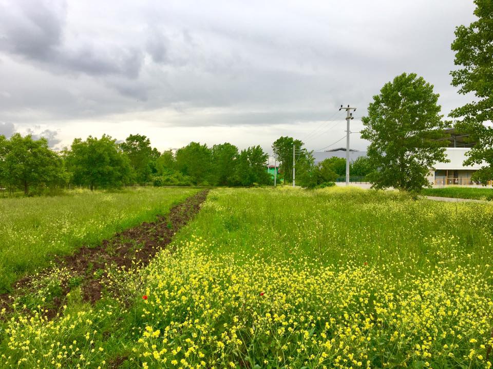 Başiskele Sepetlipınar Köyü Resimleri 8