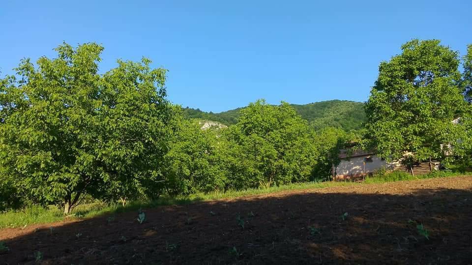 Başiskele Serindere Köyü Resimleri 9