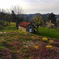 Başiskele Servetiyecemi Köyü Resimleri 15