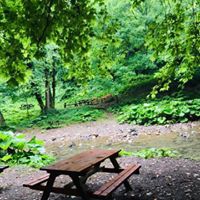 Başiskele Servetiyecemi Köyü Resimleri 21