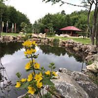 Başiskele Servetiyecemi Köyü Resimleri 23