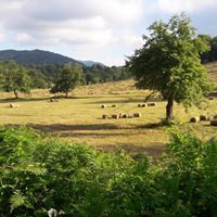 Başiskele Servetiyecemi Köyü Resimleri 25