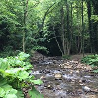 Başiskele Servetiyecemi Köyü Resimleri 27