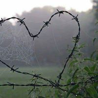 Başiskele Servetiyecemi Köyü Resimleri 9