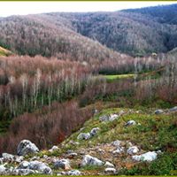 Başiskele Tepecik Köyü Resimleri 1