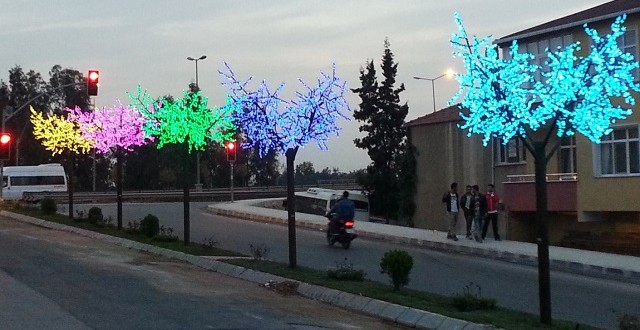 Çayırova Akse Köyü Resimleri 2