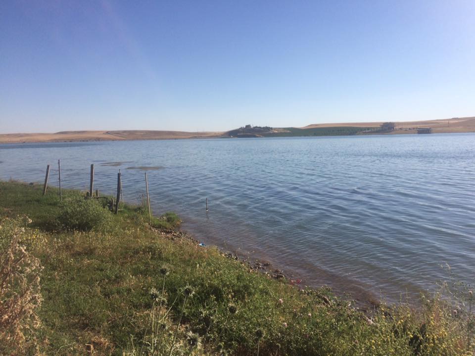 Bismil Kağıtlı Köyü Resimleri 1