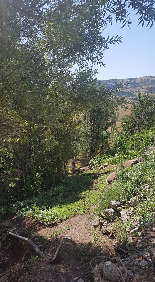 Akıncılar Kılıç Köyü Resimleri 1