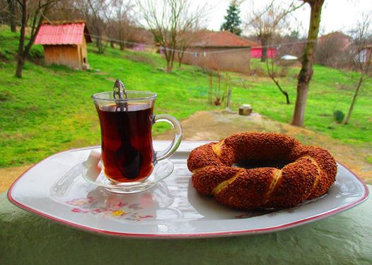 Babaeski Katranca Köyü Resimleri 14