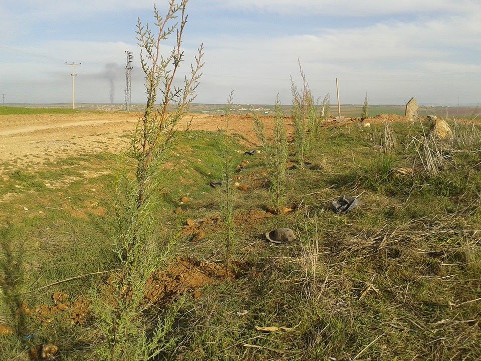 Bismil Meydanlık Köyü Resimleri 1