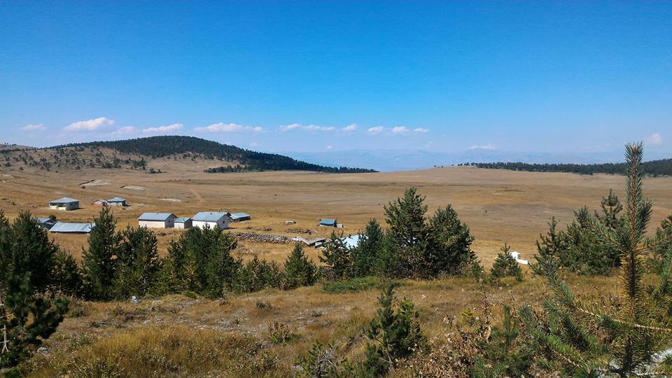 Akıncılar Ortaköy Resimleri 10