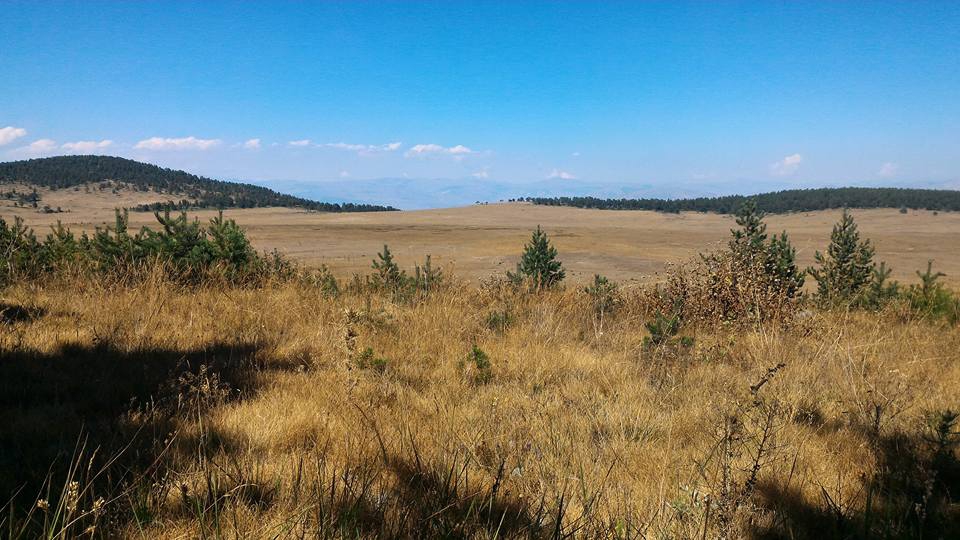 Akıncılar Ortaköy Resimleri 11
