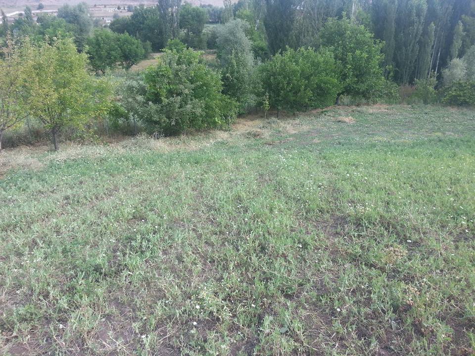 Akıncılar Ortaköy Resimleri 17