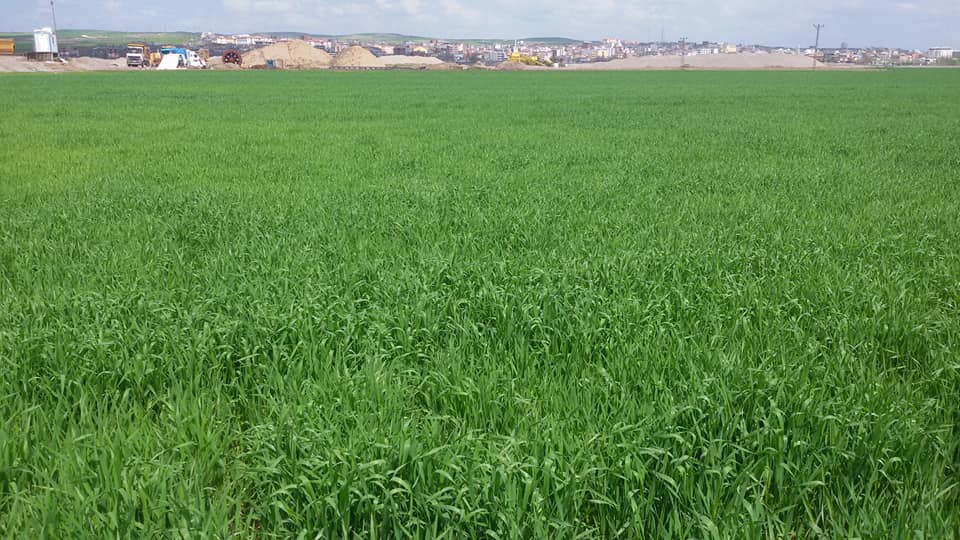 Bismil Obalı Köyü Resimleri 5