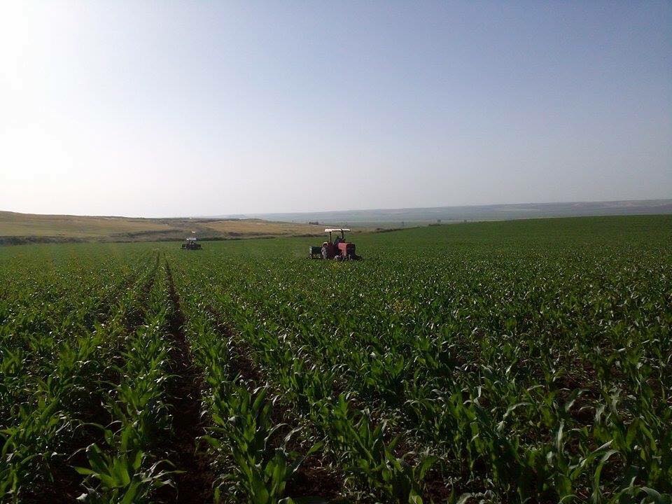 Bismil Sarıtoprak Köyü Resimleri 5