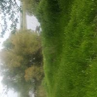 Bismil Sarıtoprak Köyü Resimleri 7