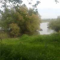 Bismil Sarıtoprak Köyü Resimleri 8