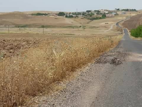 Bismil Seki Köyü Resimleri 4