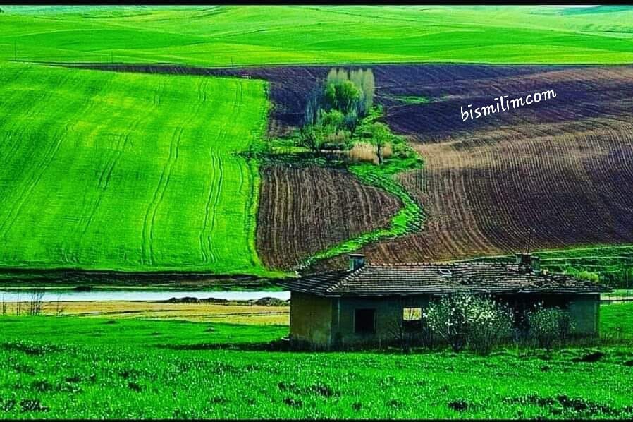 Bismil Seki Köyü Resimleri 5