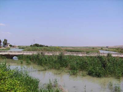 Adana Karataş Gölkaya Köyü Resimleri 4