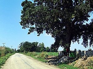 Adana Karataş Gölkaya Köyü Resimleri