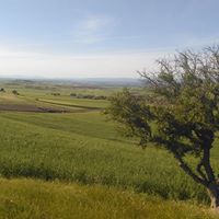 Bismil Topraklı Köyü Resimleri 2
