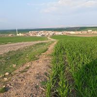 Bismil Topraklı Köyü Resimleri 5